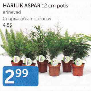 Allahindlus - HARPIK ASPAR cm potis