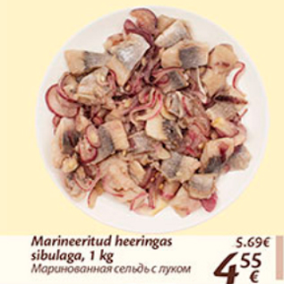 Allahindlus - Marineeritud heeringas sibulaga, 1 kg