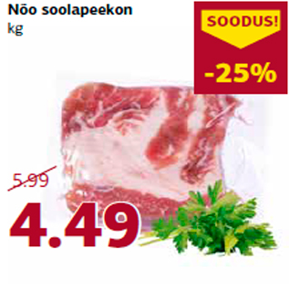 Allahindlus - Nõo soolapeekon kg