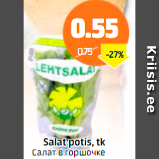 Allahindlus - Salat potis, tk