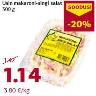 Allahindlus - Usin makaroni-singi salat 300 g