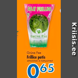 Allahindlus - Grüne Fee Frillice potis