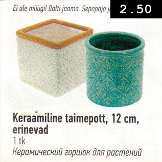 Allahindlus - Keraameline taimepott, 12 cm, erinevad, 1 tk