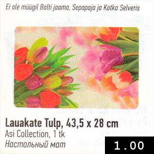 Allahindlus - Lauakate Tulp, 43,5 x 28 cm