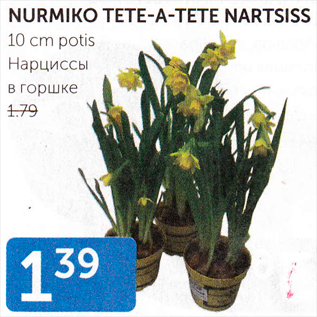 Allahindlus - NURMIKO TETE-A-TETE NARTSISS