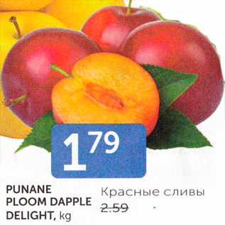 Allahindlus - PUNANE PLOOM DAPPLE DELIGHT, kg