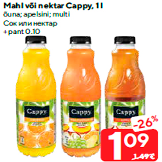 Allahindlus - Mahl või nektar Cappy, 1 l