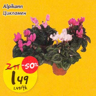 Allahindlus - Alрikаnn