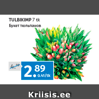 Allahindlus - TULBIKIMP 7 tk