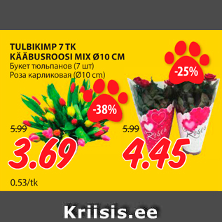 Allahindlus - TULBIKIMP 7 TK KÄÄBUSROOSI MIX Ø10 CM