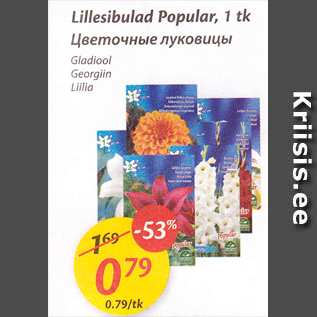 Allahindlus - Lillesibulad Popular, 1 tk