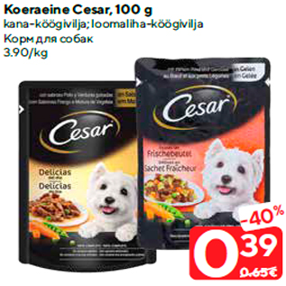 Allahindlus - Koeraeine Cesar, 100 g