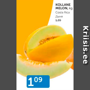 Allahindlus - KOLLANE MELON, KG