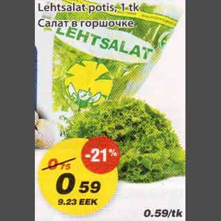 Allahindlus - Lehtsalat potis