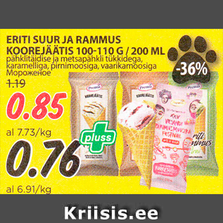 Allahindlus - ERITI SUUR JA RAMMUS KOOREJÄÄTIS 100110 G / 200 ML