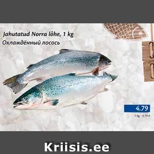 Allahindlus - Jahutatud Norra lõhe, 1 kg