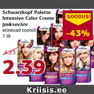 Allahindlus - Schwarzkopf Palette Intensive Color Creme juuksevärv