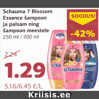 Allahindlus - Šchauma 7 Blossom Essence šampoon ja palsam ning šampoon meestele