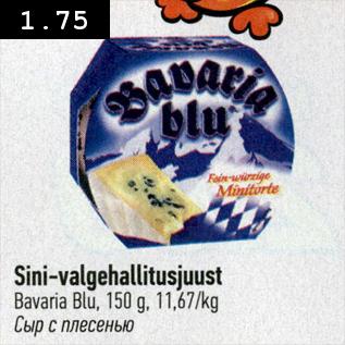 Allahindlus - Sini-valgehallitusjuust Bavaria Blu