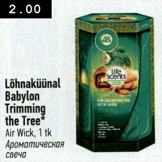 Allahindlus - Lõhnaküünal Babylon Trimming the Tree, Air Wick