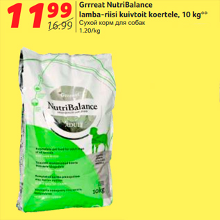 Allahindlus - Grrreat NutriBalance lamba-riisi kuivtoit koertele, 10 kg**