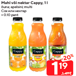 Allahindlus - Mahl või nektar Cappy, 1 l