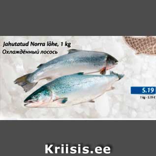 Allahindlus - Jahutatud Norra lõhe, 1 kg