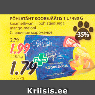 Allahindlus - PÕHJATÄHT KOOREJÄÄTIS 1 L / 480 G