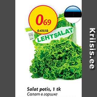 Allahindlus - Salat potis, 1 tk