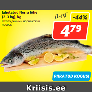 Allahindlus - Jahutatud Norra lõhe (2-3 kg), kg