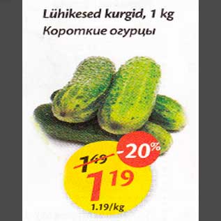 Allahindlus - Lühikesed kurgid, 1 kg