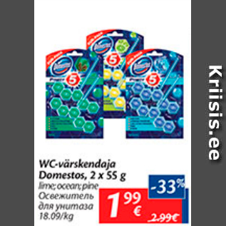 Allahindlus - WC-värskendaja Domestos, 2 x 55 g