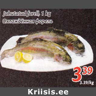 Allahindlus - jahutatud forel, 1 kg