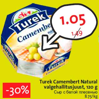 Allahindlus - Turek Camembert Natural valgehallitusjuust, 120 g