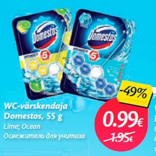 Allahindlus - WC-värskendaja Domestos, 55 g