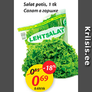 Allahindlus - Salat potis, 1 tk