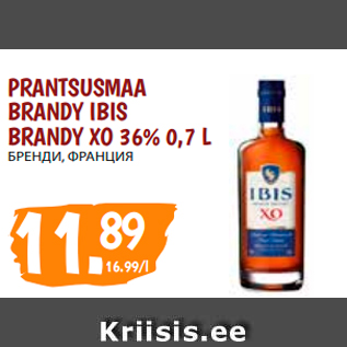 Allahindlus - PRANTSUSMAA BRANDY IBIS BRANDY XO 36% 0,7 L