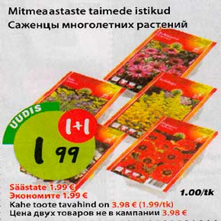 Allahindlus - Mitmeaastaste taimede istikud 1+1