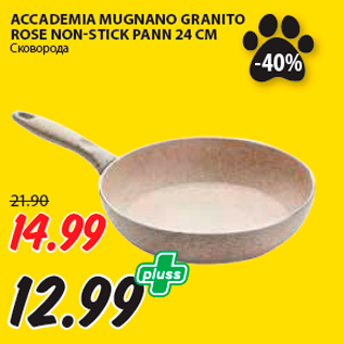 Allahindlus - ACCADEMIA MUGNANO GRANITO ROSE NON-STICK PANN 24 CM