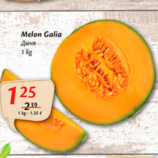 Allahindlus - Melon Galia 1 kg