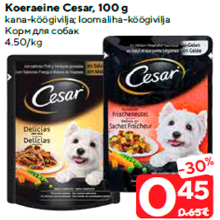 Allahindlus - Koeraeine Cesar, 100 g