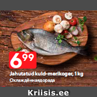 Allahindlus - Jahutatud kuld-merikoger, 1 kg