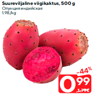 Allahindlus - Suureviljaline viigikaktus, 500 g