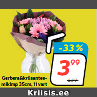 Allahindlus - Gerbera&krüsanteemikimp 35cm, 11 vart