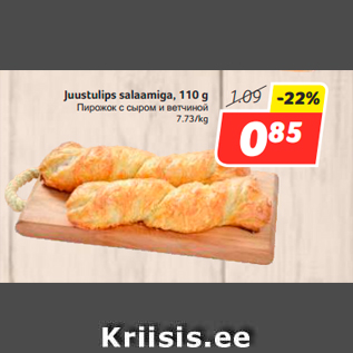 Allahindlus - Juustulips salaamiga, 110 g