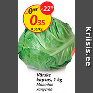 Allahindlus - Värske kapsas, 1 kg