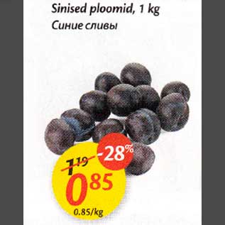 Allahindlus - Sinised ploomid, 1 kg