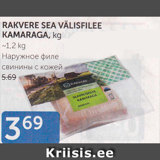 Allahindlus - RAKVERE SEA VÄLISFILEE KAMARAGA, KG