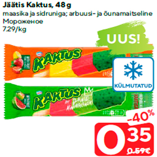 Allahindlus - Jäätis Kaktus, 48 g