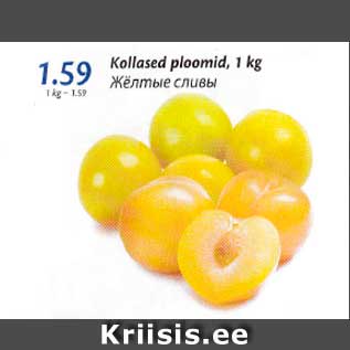 Allahindlus - Kollased ploomid, 1 kg